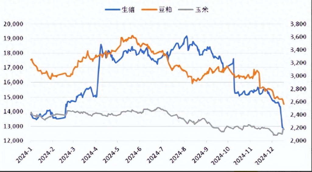 “二师兄”要“发飙”，春节前生猪要转势？