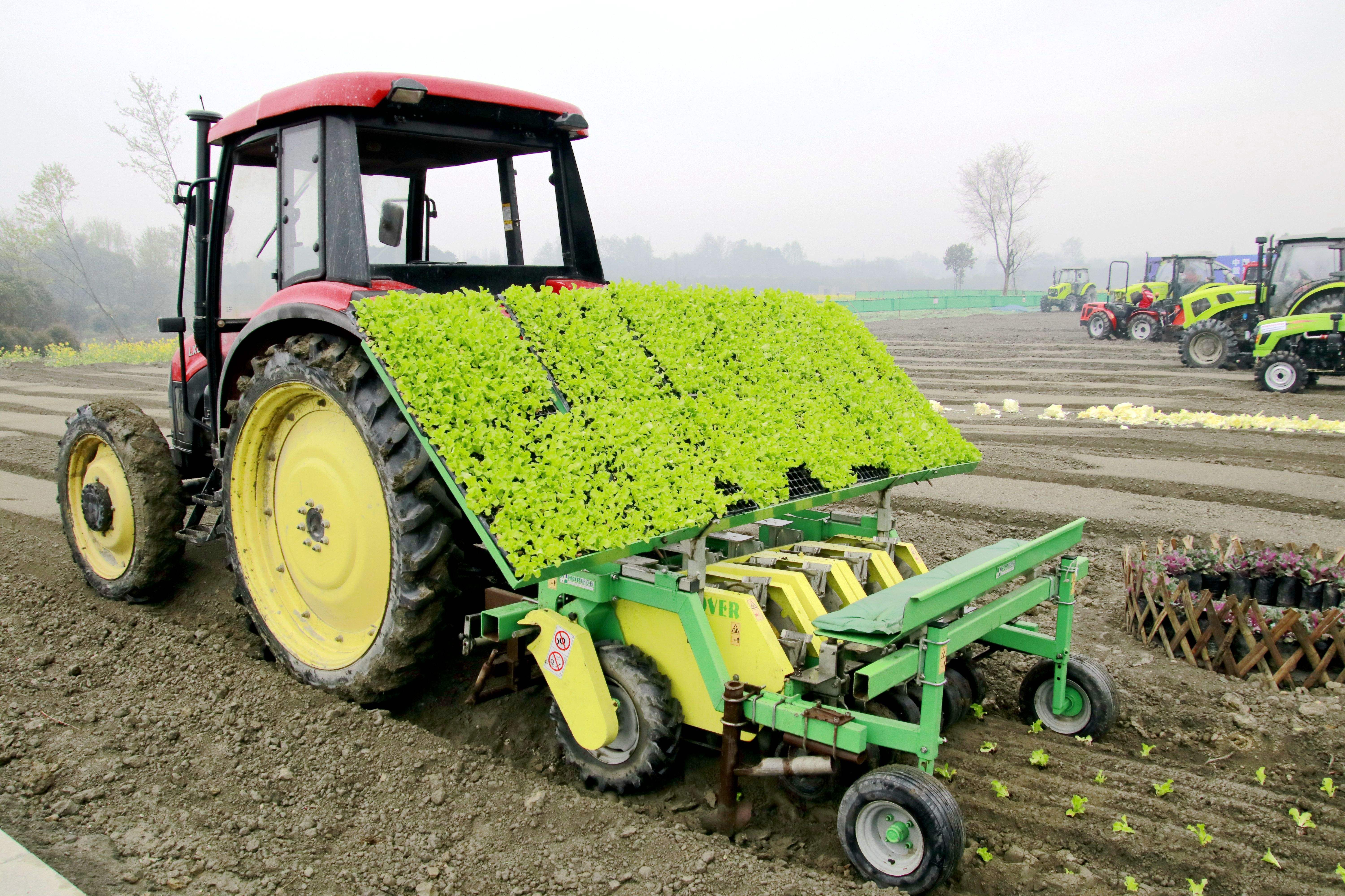 机械化与农业现代化：科技助力下的生产效率