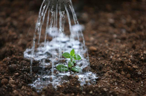 肥料 石灰 石灰窒素は土壌消毒にも｜農薬効果・肥料効果と上手な使い方